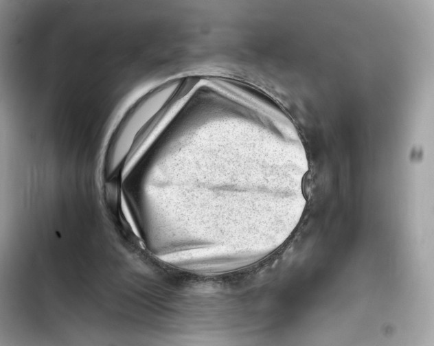 X0000101960200200808151323