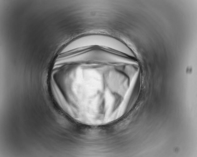 X0000101960201200808151323
