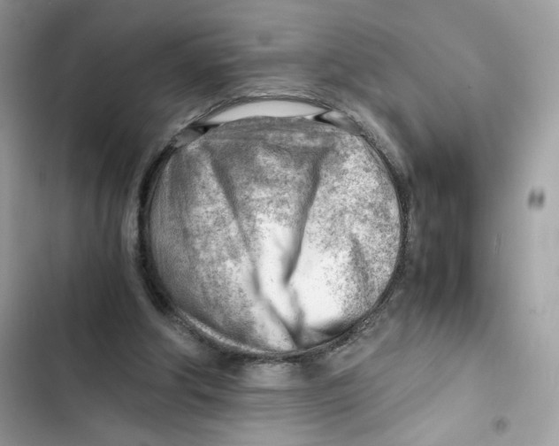X0000101960202200808151323