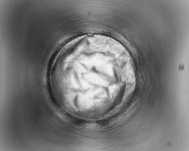 X0000101960203200808151323