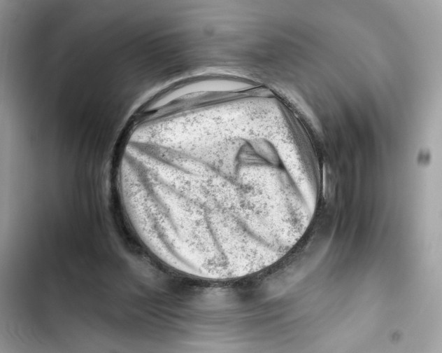 X0000101960204200808151323