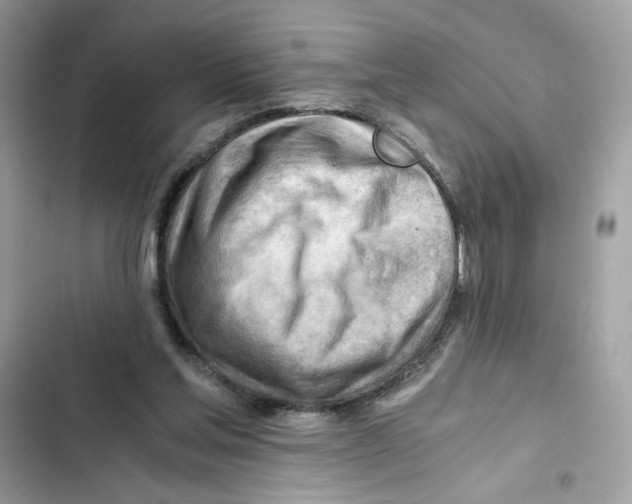 X0000101960205200808151323