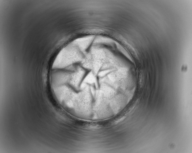 X0000101960206200808151322