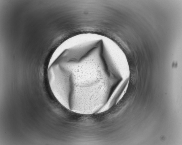 X0000101960207200808151322