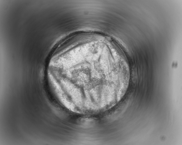 X0000101960208200808151322