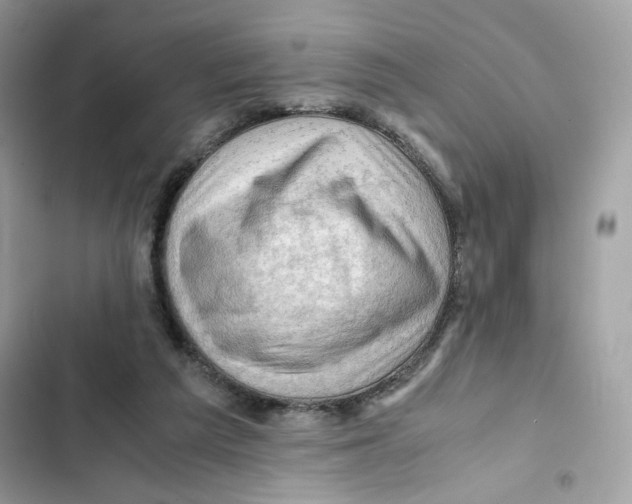 X0000101960209200808151322