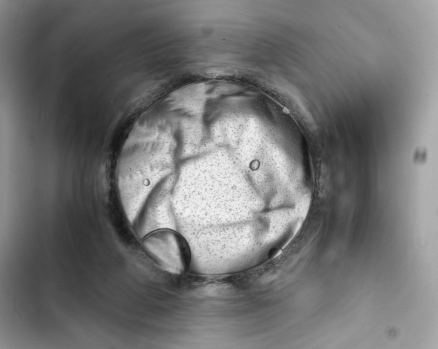 X0000101960210200808151322