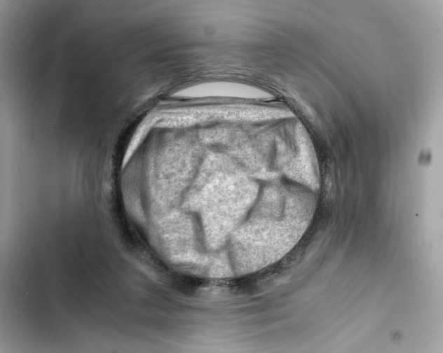 X0000101960211200808151322