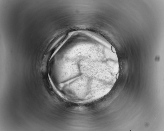 X0000101960212200808151322
