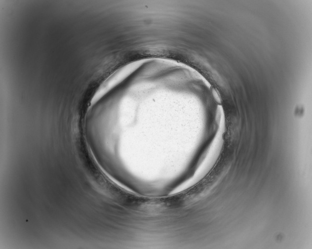X0000101960213200808151322