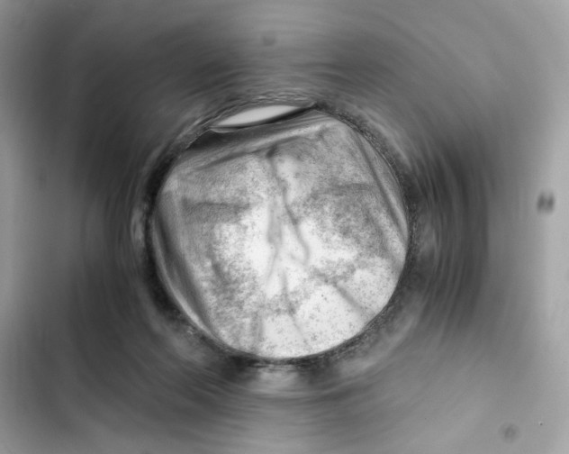 X0000101960214200808151322