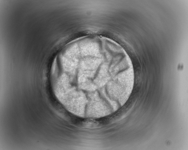 X0000101960215200808151322