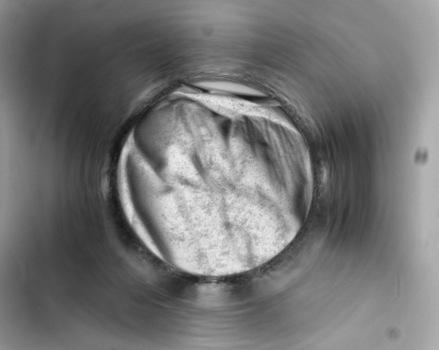 X0000101960216200808151322