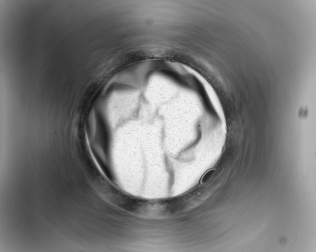 X0000101960217200808151322