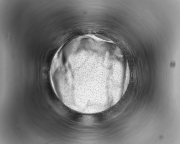 X0000101960218200808151322