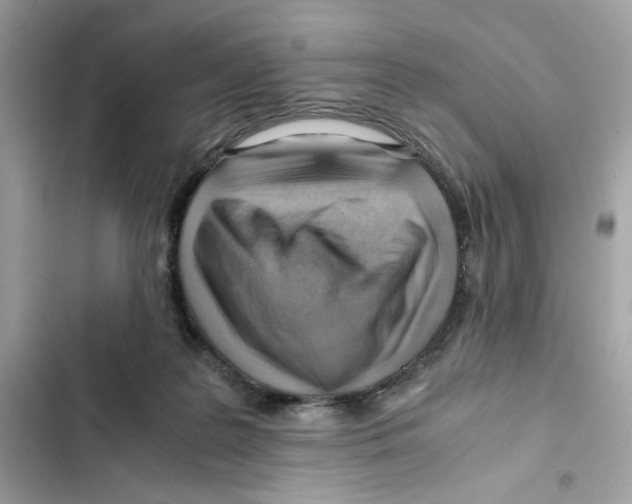 X0000101960219200808151322