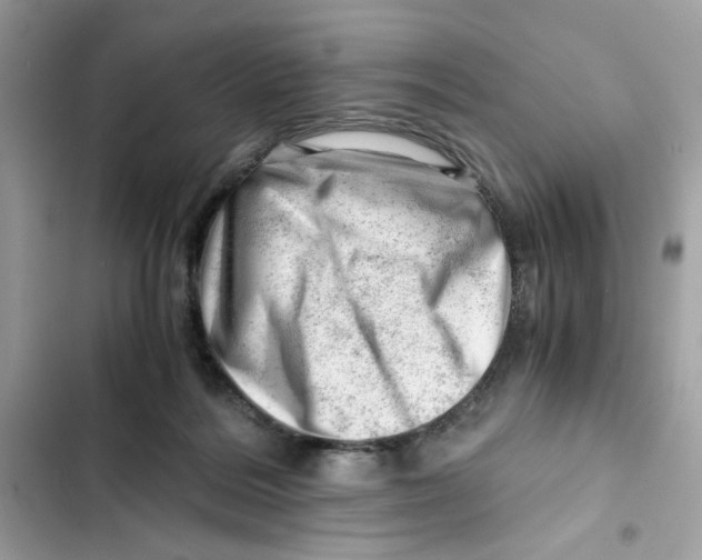 X0000101960220200808151322