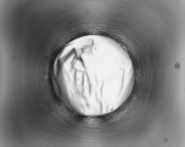 X0000101960221200808151322