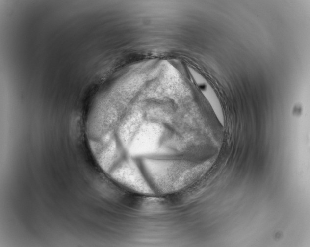 X0000101960222200808151322