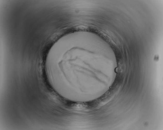 X0000101960223200808151322