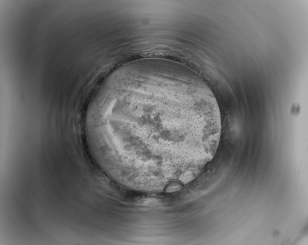 X0000101960224200808151322