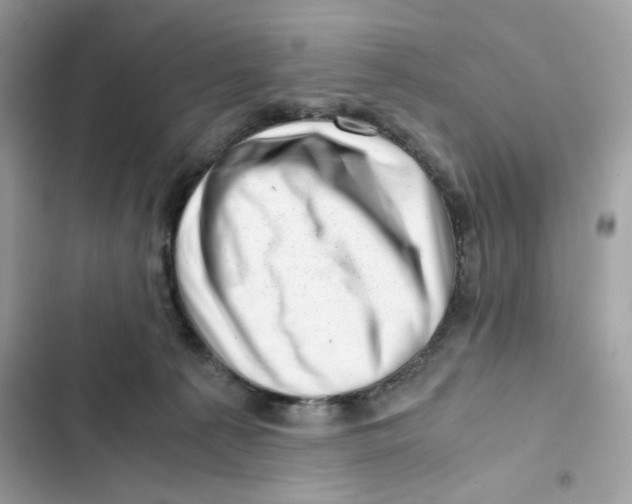 X0000101960225200808151322