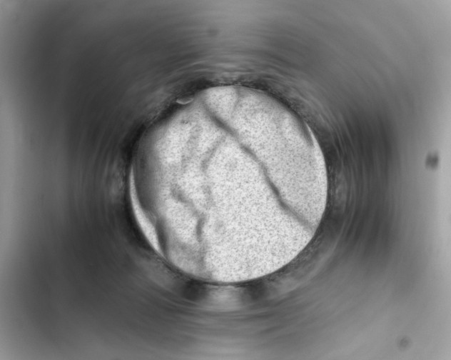 X0000101960226200808151322