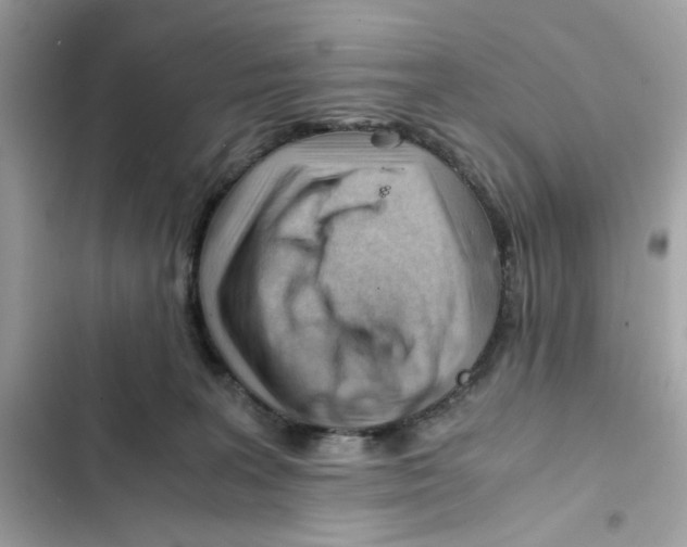 X0000101960227200808151322