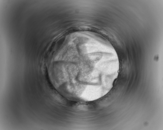 X0000101960228200808151322
