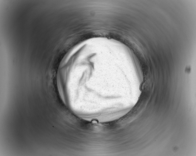 X0000101960229200808151322
