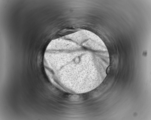 X0000101960230200808151322