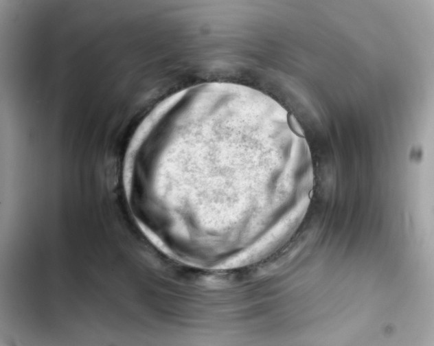 X0000101960232200808151322