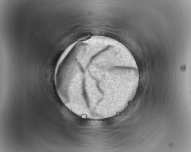 X0000101960233200808151322