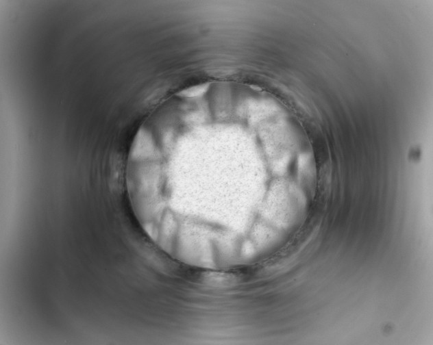 X0000101960234200808151322