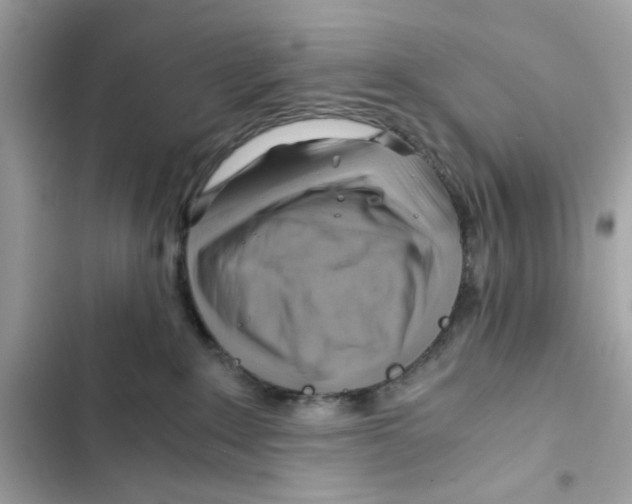 X0000101960235200808151322