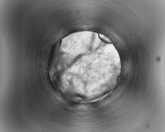 X0000101960236200808151322