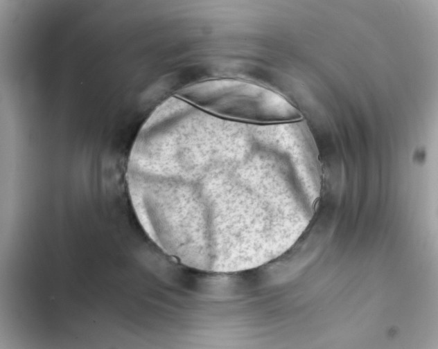 X0000101960237200808151322