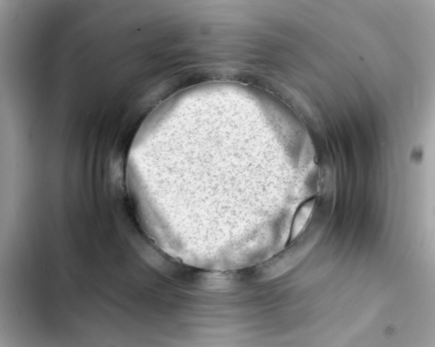 X0000101960238200808151322