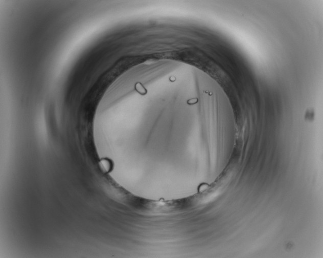 X0000101960239200808151322