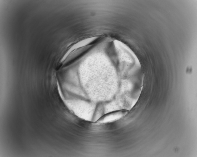X0000101960240200808151322
