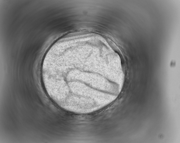 X0000101960241200808151321