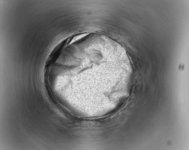 X0000101960242200808151321