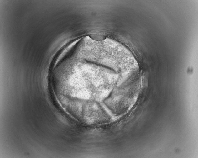 X0000101960243200808151321