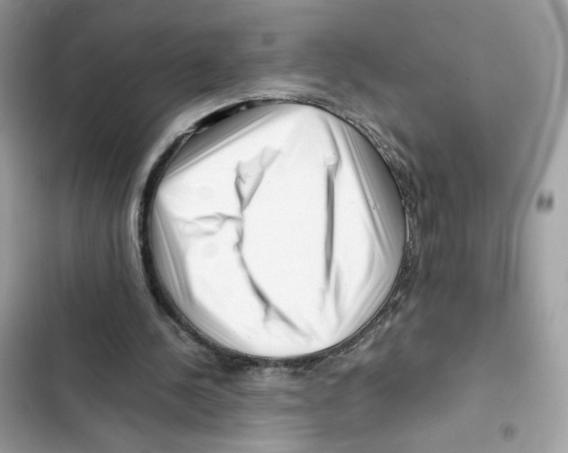 X0000101960244200808151321