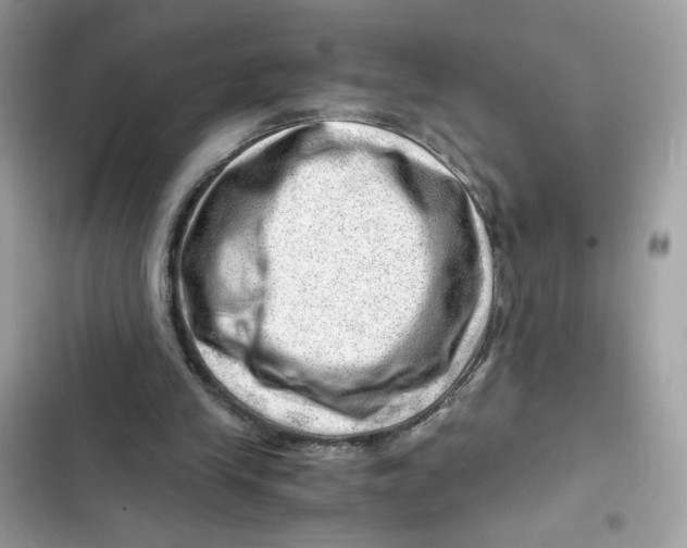 X0000101960245200808151321