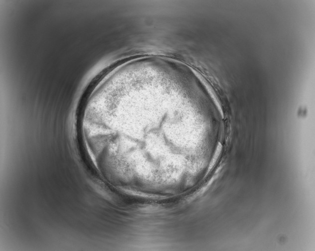 X0000101960246200808151321