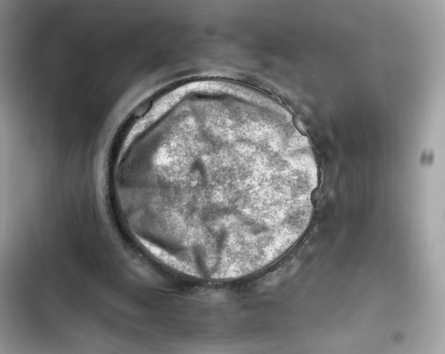 X0000101960247200808151321