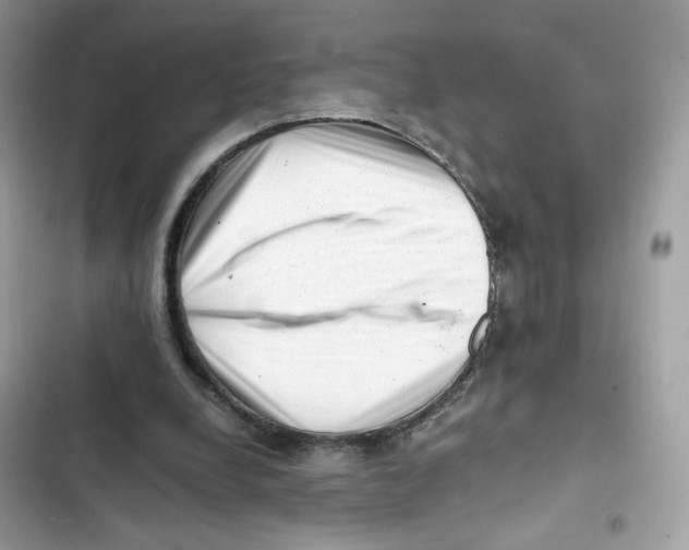 X0000101960248200808151321