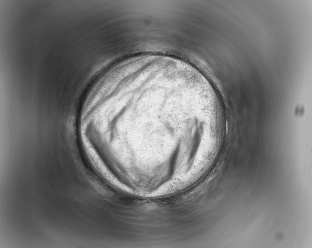 X0000101960249200808151321