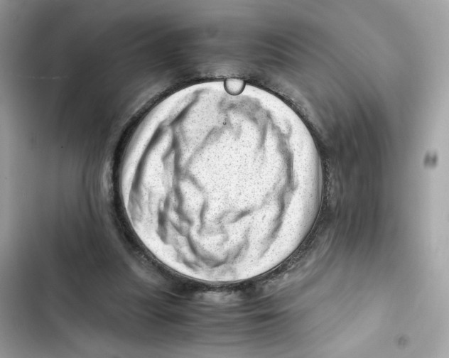 X0000101960251200808151321